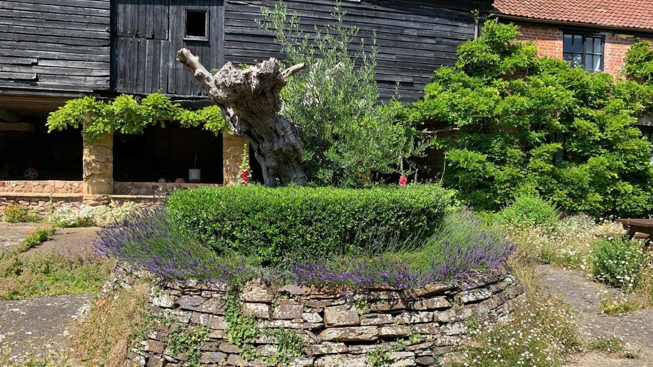 Shippen Cottage - Perfect For Couples Or Families Сидмут Екстериор снимка